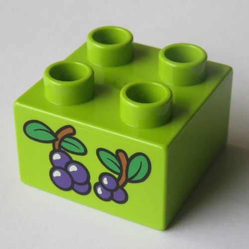 LEGO PART 3437pr0016 Duplo Brick 2 x 2 with Berries on Sprigs Print